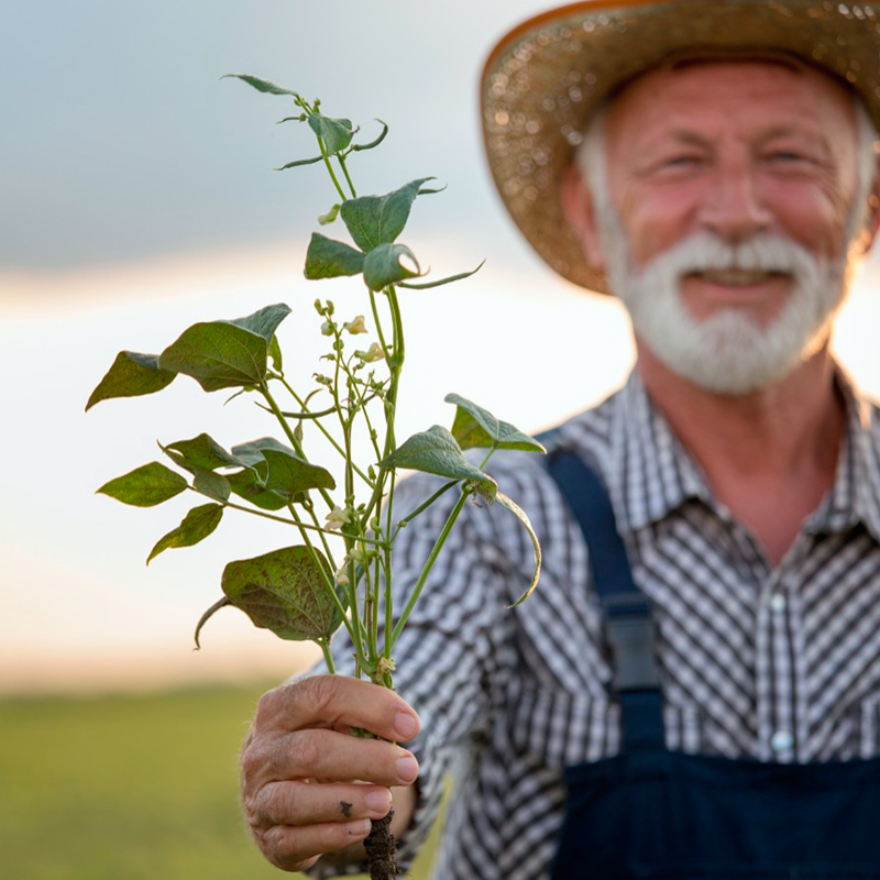 Especialista em Aposentadoria Rural